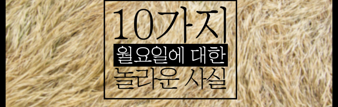 10-amazing-facts-about-mondays